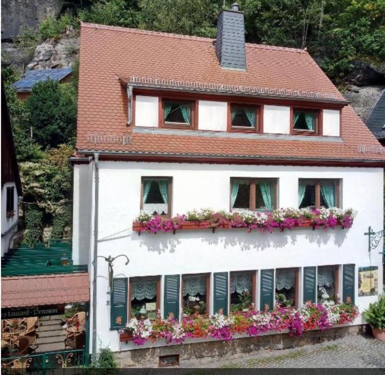 Pension Fuhrmann'S Elb- Cafe Bad Schandau Ngoại thất bức ảnh